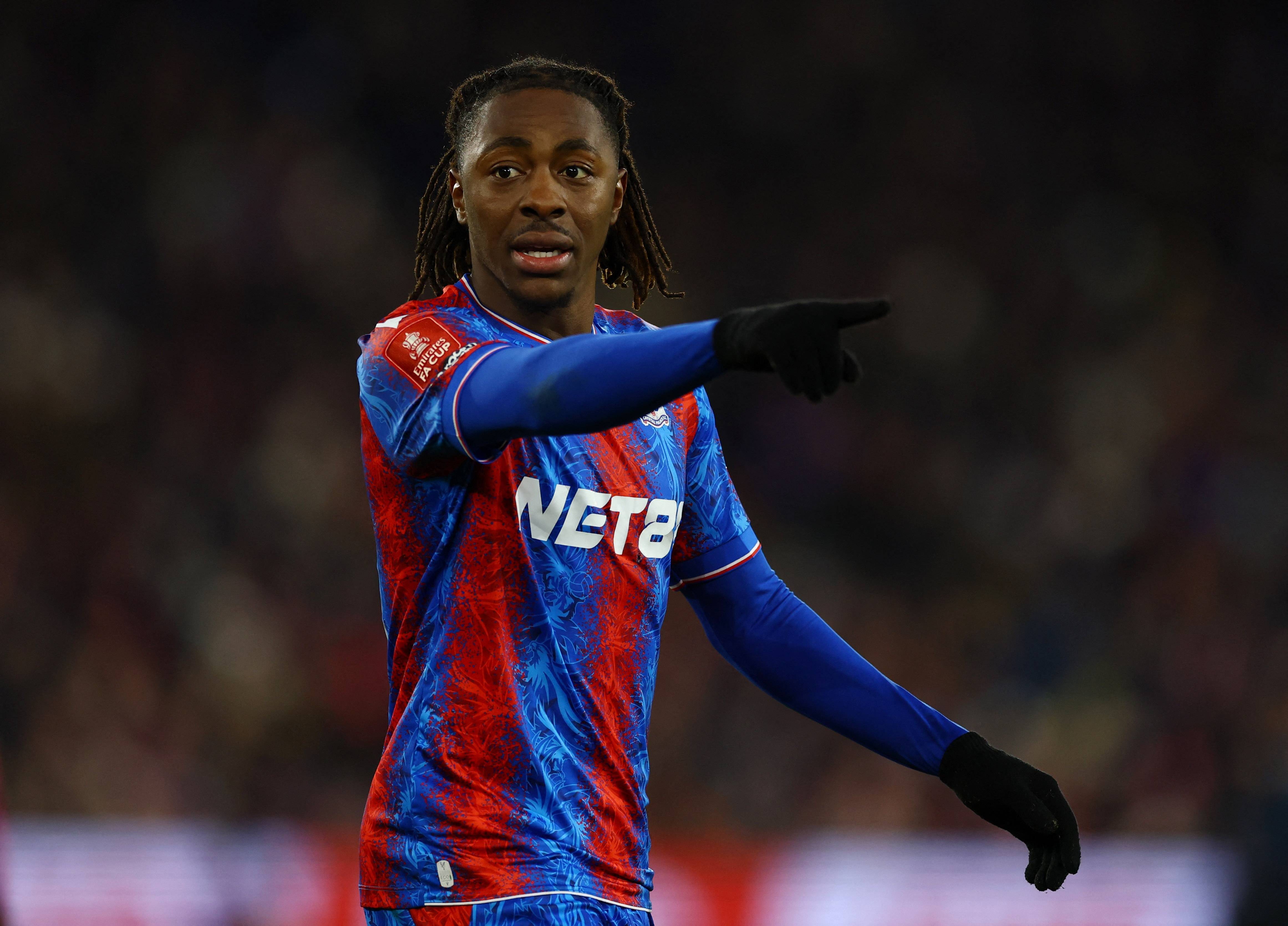 邮报：因股东同时持有里昂股份，水晶宫可能将被剥夺欧联杯资格